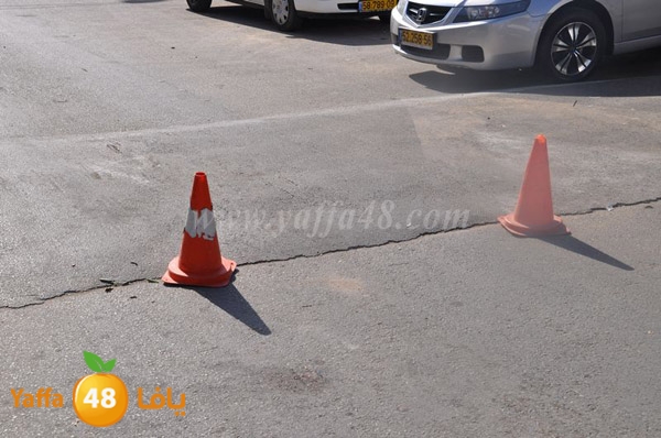 trees lud 1112 (29).JPG